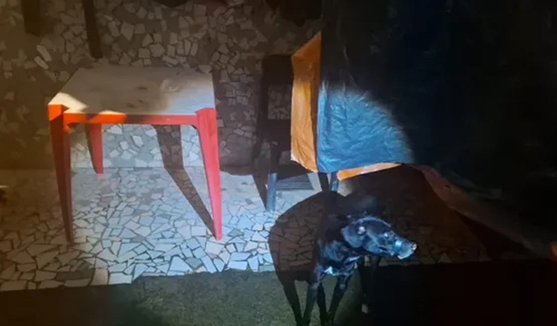 Homem é preso após cachorro ser encontrado com focinho amarrado em Maceió