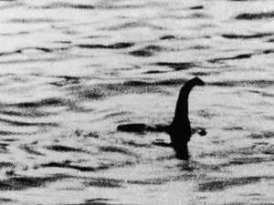 Enguia gigante pode estar por trás do mito do Monstro do Lago Ness