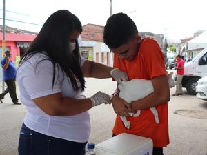 Porto Calvo inicia vacinação contra raiva para cães e gatos
