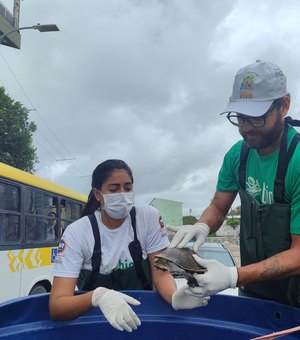 OAB, MPE e Instituto Biota realizam força-tarefa para resgatar cágados do Riacho Salgadinho