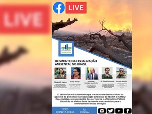 Deputados são surpreendidos com sexo explícito durante reunião por vídeo