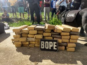 BOPE apreende 48 quilos de maconha em ônibus que seguia para Recife