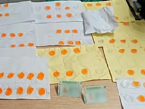 Polícia apreende 700 dedos de silicone para fraudar CNH em autoescola