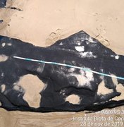 [Vídeo] Novas manchas de óleo surgem em praia do Litoral Sul de Alagoas