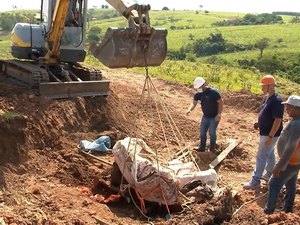 Ossada de dinossauro de 70 milhões de anos é retirada de fazenda em SP