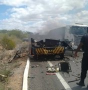 Vídeo: bando explode cofre, incendeia carro-forte e dinheiro queimado se espalha em rodovia