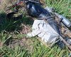 Grave acidente provoca morte de motociclista na BR-104 no interior de AL