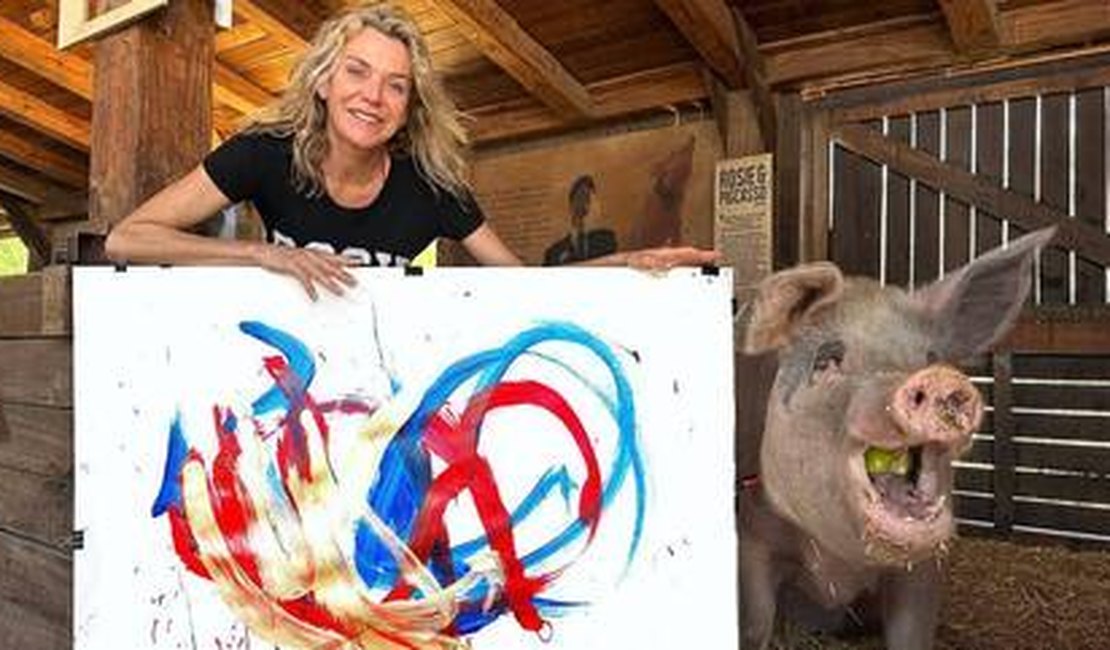 Conheça 'Pigcasso', a porca pintora, que já vendeu quase R$ 5 milhões em quadros