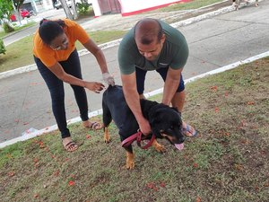 Abertura da campanha antirrábica em Penedo vacina cerca de 8 mil animais