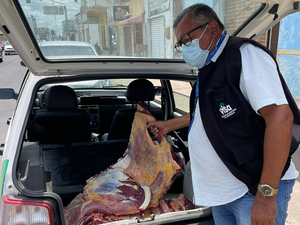 Cerca de 100 quilos de carne bovina foram apreendidos durante fiscalização da Vigilância Sanitária de Arapiraca