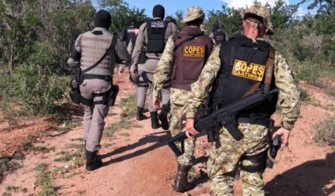 Criminosos trocam tiros com a polícia em plantação de maconha