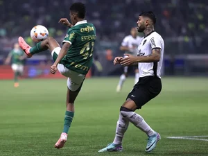 Botafogo elimina Palmeiras e avança na Libertadores após virada anulada pelo VAR