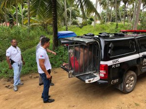 Polícia Civil prende homem acusado de agredir esposa em Porto de Pedras