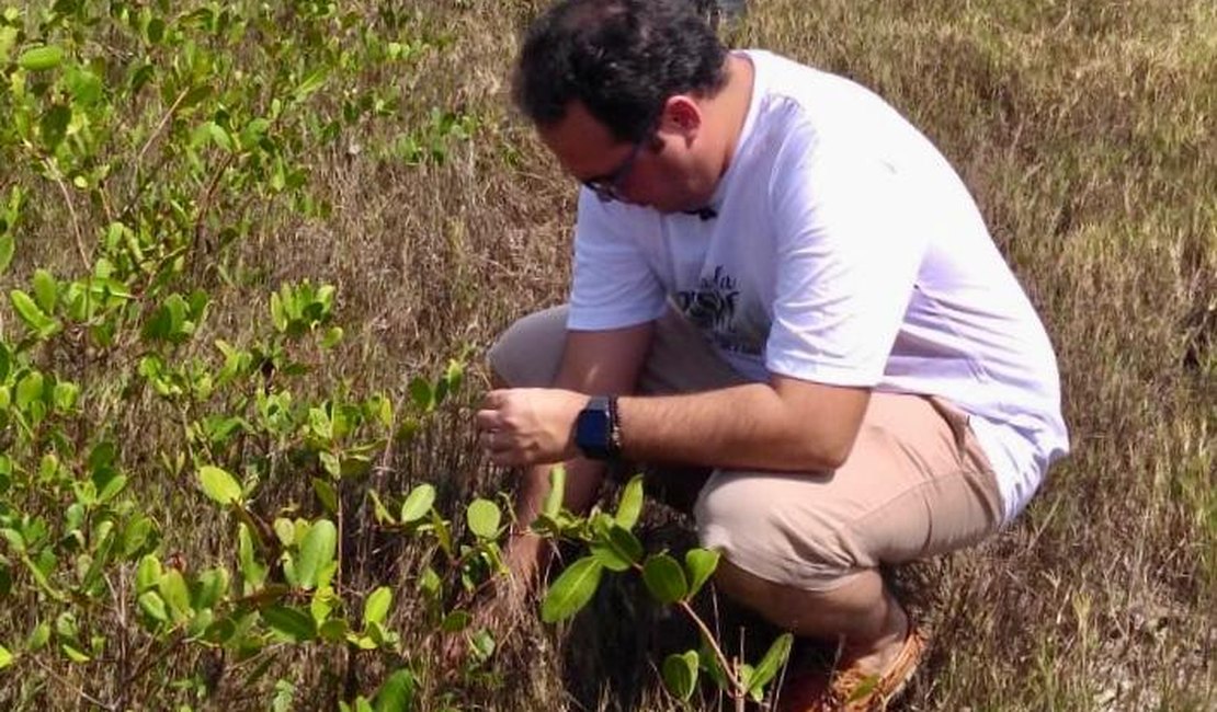 Deputado Davi Maia realiza plantio de mais de 1000 mudas de mangue