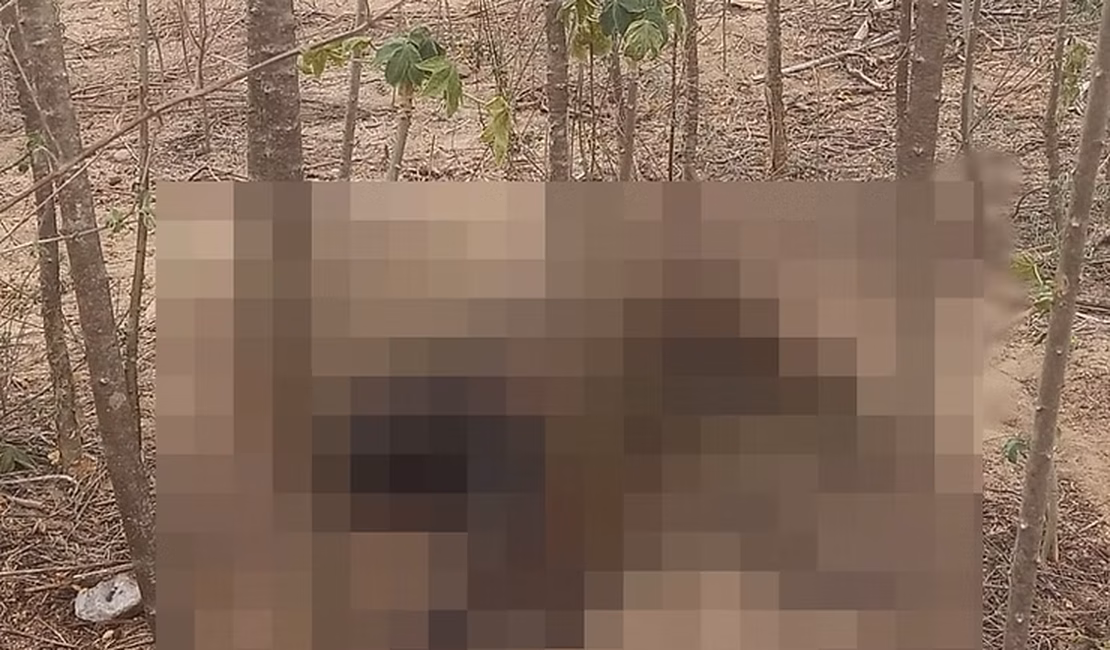 Corpo em decomposição é encontrado em Delmiro Gouveia