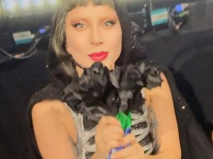 Deu saudade do Rio? Lady Gaga segue interagindo com fãs brasileiros na The Mayhem Ball!