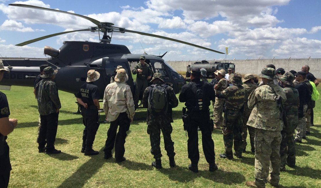 Polícia Federal destrói mais de 260 mil pés de maconha em Pernambuco