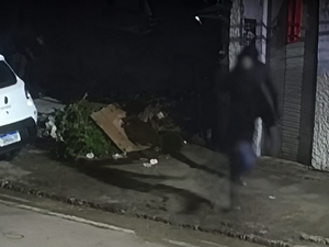 Câmeras registram invasão de residência onde adolescente foi morta a tiros em Murici