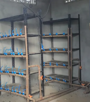 Esquema de mineração clandestina de criptomoedas gera prejuízo de R$ 750 mil e dano ambiental em AL