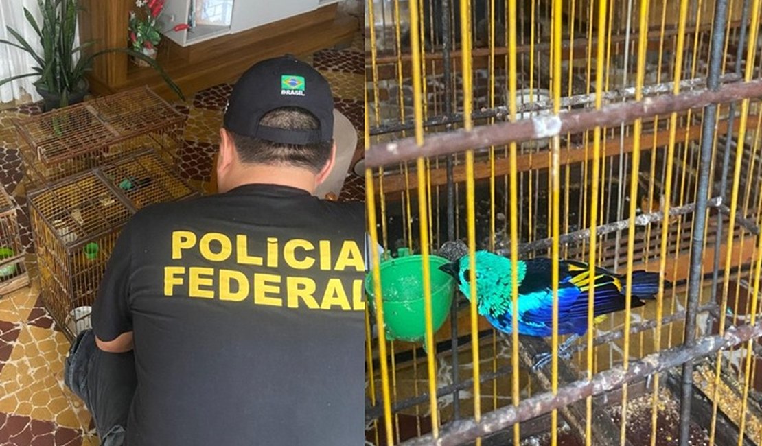 PF investiga sumiço de aves ameaçadas de extinção em zoológico de Alagoas