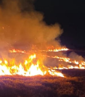 Corpo de Bombeiros registra 16 incêndios em vegetação em um único dia em Alagoas