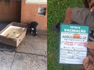 Mendigo troca cachorro por sexo com prostituta no DF