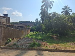 Moradores denunciam queimada em terreno no bairro de Ipioca, em Maceió