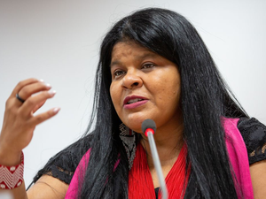 Ministra diz que garimpeiros ilegais devem ser expulsos de TI Yanomami