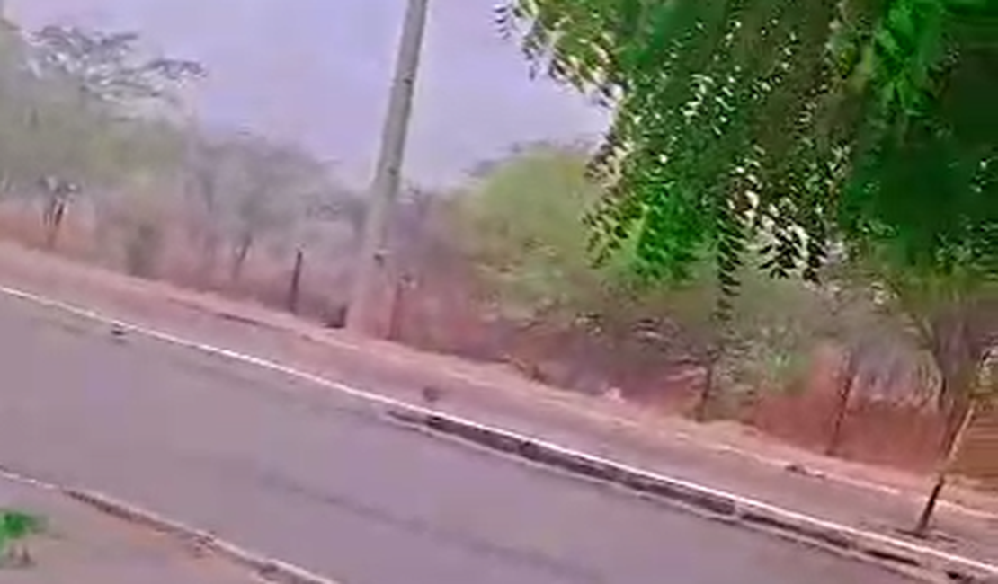 [Vídeo] Chuva forte surpreende moradores de Craíbas na tarde desta terça (19)