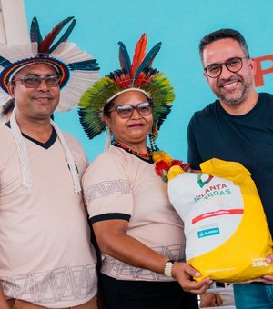 Planta Alagoas: agricultores começam a receber sementes na janela de plantio ideal