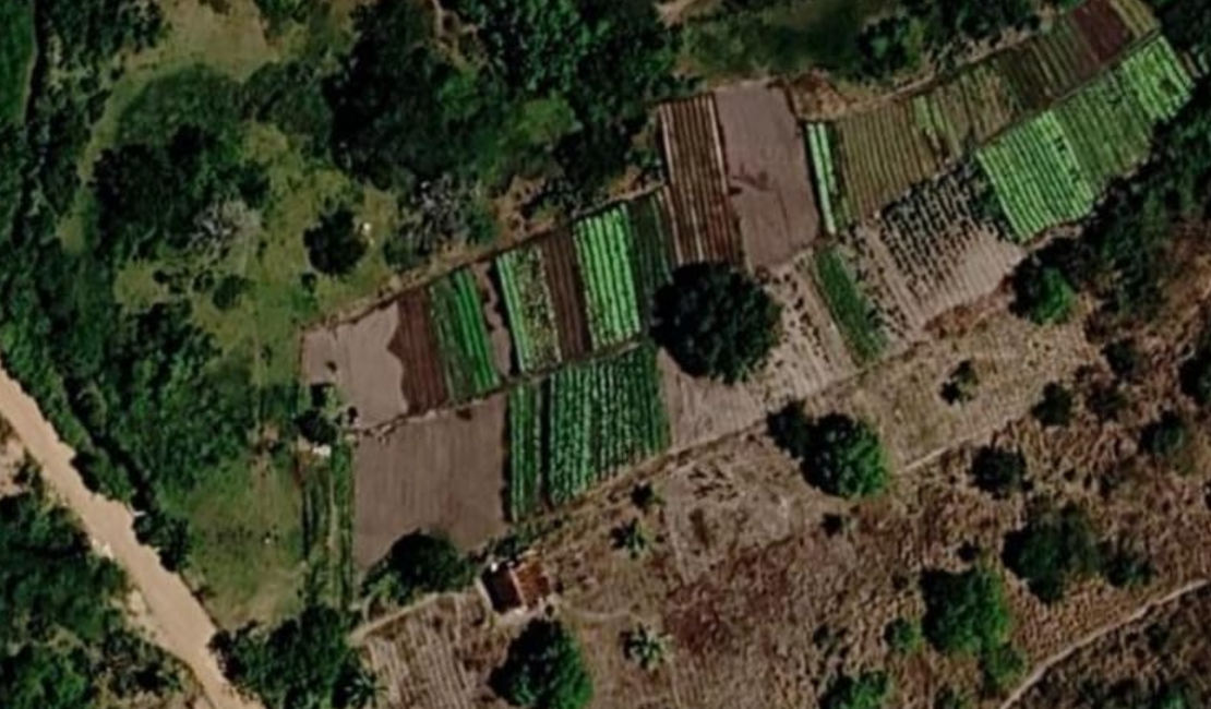 Denúncia aponta possível captação de água poluída em riacho de Arapiraca