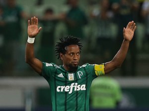 Palmeiras vence Botafogo e assume vice liderança na despedida de Zé Roberto