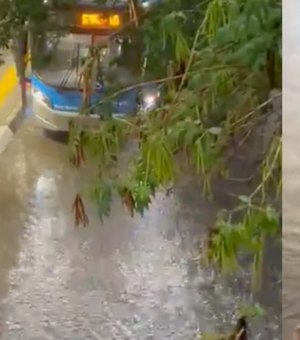 SP: mais de 71 mil casas ficam sem luz após chuva rápida