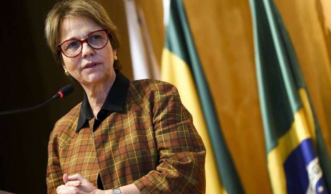 Brasil só fica sem abastecimento de alimentos se faltar transporte, diz ministra da Agricultura
