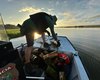 Guardiões do Velho Chico: combate à pesca predatória protege vida e sustento no São Francisco
