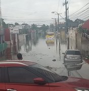[Vídeos] Após chuvas fortes, árvores caem e veículos ficam ilhados 