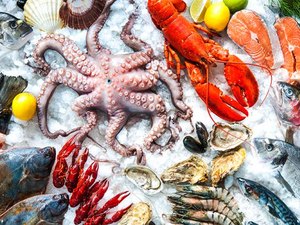 Não há risco de consumo de frutos do mar, até o momento, diz ministro