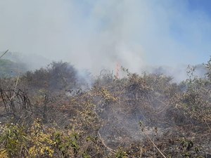 Incêndios no Pantanal motivam estado de emergência em 14 cidades em MS