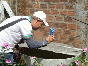 Governo realiza sábado (13) dia &#147;D&#148; na luta contra o Aedes