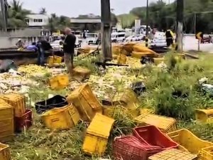 Carreta com carga de frutas e verduras tomba na rodovia BR-316 na Ladeira do Catolé