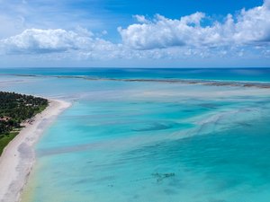 Verão Maragogi: Praia de Ponta de Mangue é o paraíso do Litoral Norte