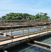 Falta de energia afeta abastecimento de água em Palmeira dos Índios e zona rural de Quebrangulo