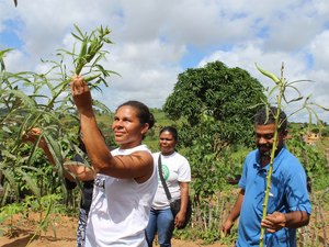 Prefeitura orienta produção de hortaliças em comunidade remanescente quilombola