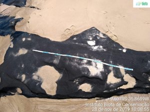 [Vídeo] Novas manchas de óleo surgem em praia do Litoral Sul de Alagoas