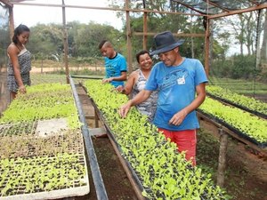 Povoado de Palmeira dos Índios aumenta produção após programa Água para Todos