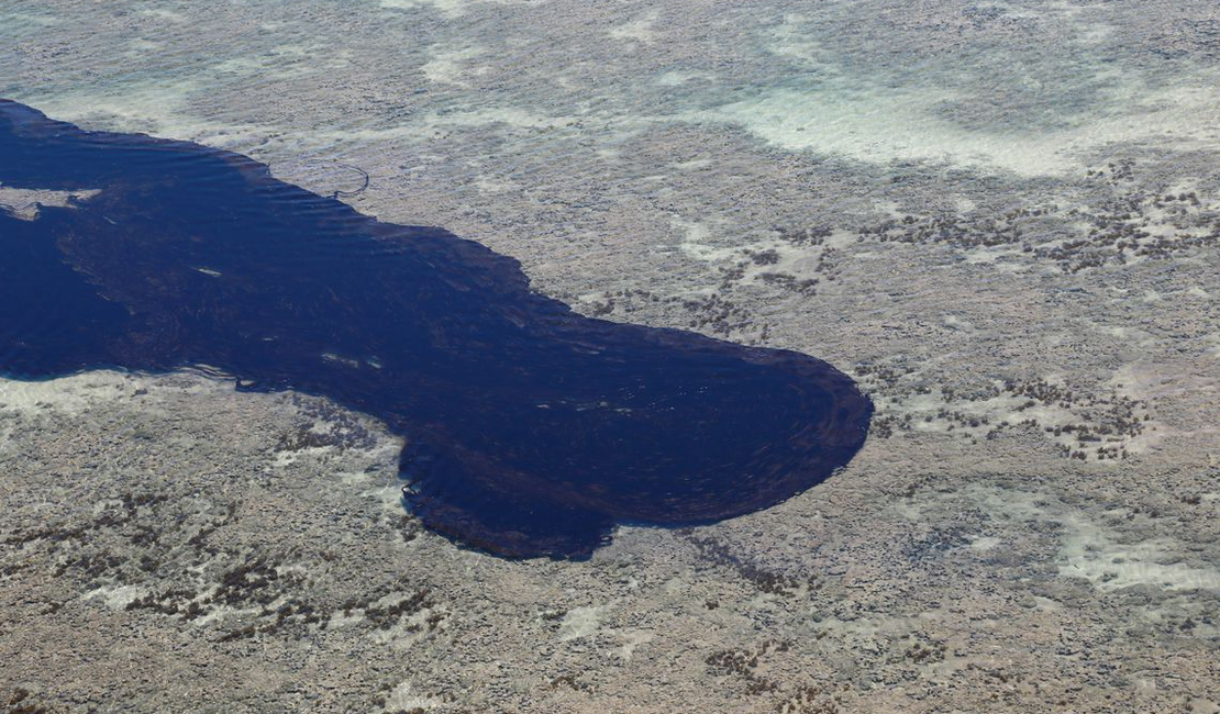 Manchas de óleo aparecem no Delta do Parnaíba, litoral do Piauí