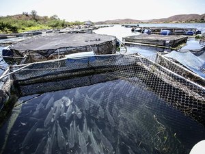 FPI flagra pesca irregular e orienta pescadores sobre período de reprodução de peixes