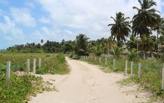 Trilha de buggy na Praia da Bruna faz sucesso em Maragogi