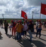 Trabalhadores rurais fecham rodovias em Teotônio Vilela, Branquinha e Coruripe