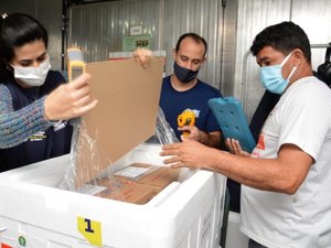 Alagoas recebeu mais 17 mil doses de Coronavac nesta sexta-feira (14)